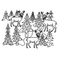 pines and animals 002